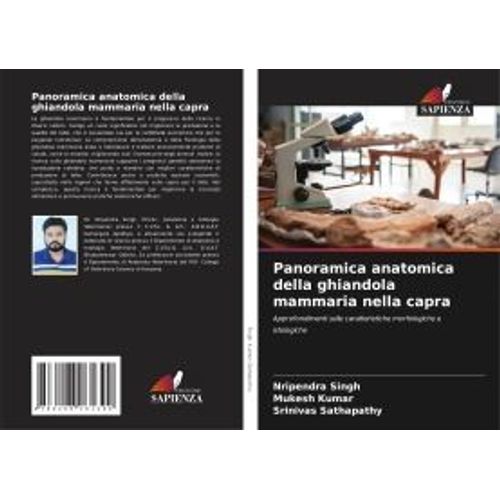 Panoramica Anatomica Della Ghiandola Mammaria Nella Capra