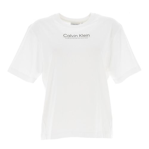 Tee Shirt Manches Courtes Calvin Klein Coordinates Logo Gra Blanc