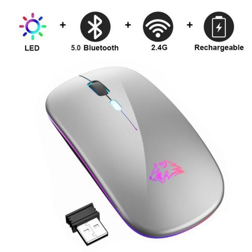 Souris sans fil aste RVB pour ordinateur portable, souris d'ordinateur  silencieuse, rétroéclairage LED, souris de jeu ergonomique, Bluetooth, PC