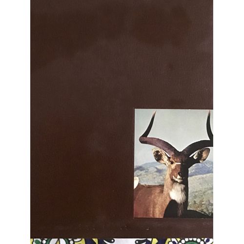 Animaux De Grande Chasse En Afrique De Pierre Fiorenza