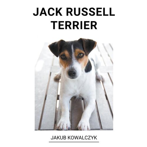 Jack Russell Terrier