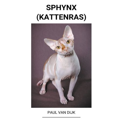 Sphynx (Kattenras)