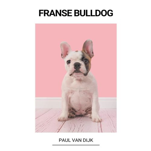 Franse Bulldog