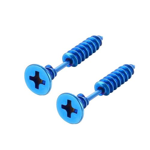 Boucles D'oreilles En Acier Inoxydable Pour Homme Et Femme,Piercing,Clou,Vis,Punk Rock,Helix,Bijoux En Spirale,Unisexe,2 Pièces