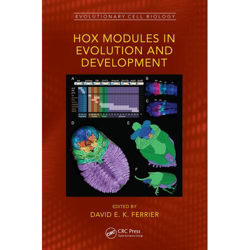 Hox Modules In Evolution And Development