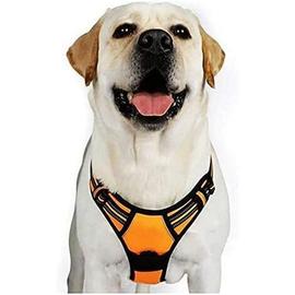 8 pièces de lampe à réflecteur pendentif - collier de chien