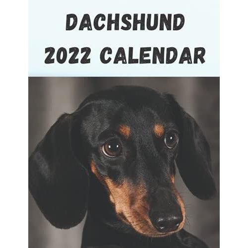 Dachshund Calendar 2022: Gifts For Friends And Family With 12-Month Monthly Calendar In 8.5x11 Inch Official Calendar 2022 Dachshund Dogs ,Animals Dogs Breeds Jan 2022 - Dec 2022 Calendar