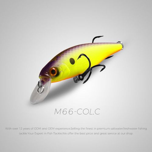 Bearking Appât Squad Minnow En Tungstène,Leurre De Pêche,Poisson Nageur À Vibrations,Couleurs Assorties,Système De Poids Sp,14.8 G,6g,95 Mm,65mm - Type 65mm-Col.C