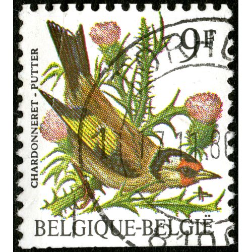 Timbre Oblitéré Belgique, België, Chardonneret , Putter, 9 F