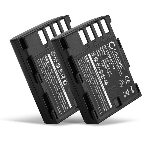 2X Batterie Remplacement DMW-BLF19 DMW-BLF19E DMW-BLF19PP 2000mAh pour Panasonic GH5 Lumix DC-GH5s DMC-GH4 GH4 GH4r GH4h GH3 Lumix DMC-GH3h GH3a G9 Appareil Photo caméra Action cam accu