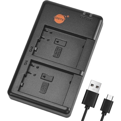 DE-A80,DE-A80AA/SX Batterie USB Dual Quick Chargeur Compatible pour DMW-BLC12,DMW-BLC12e,BP-DC12,BP-DC12U,Panasonic Lumix DMC-G7,DMC-GH2,DMC-FZ330,DMC-FZ200,DMC-FZ1000,V-LUX4 Leica Q Sigma BP-51