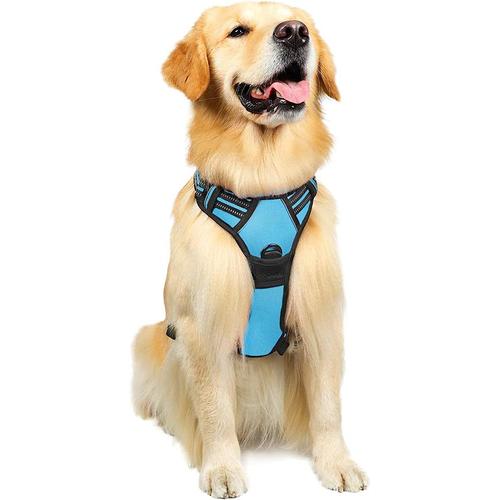 Laisse pour chien, anti-traction, voiture pour chien avec boucle