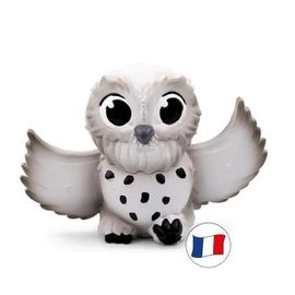 Club Ecolo - Sauvetage De Haut Vol ! : Harfang Des Neiges "John".