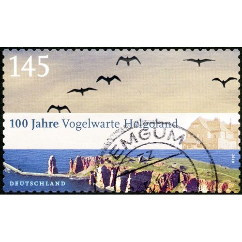 Timbre Oblitéré Deutschland, 100 Jahre Vogelwarte Helgoland, 2010, 145