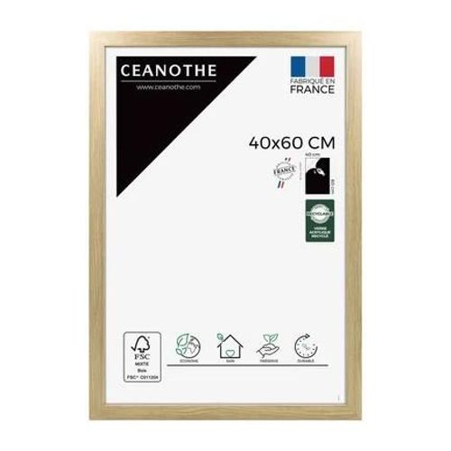 Ceanothe - Cadre photo design ?ternel - Marron