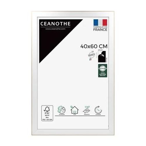 Ceanothe - Cadre photo Newton - Marron