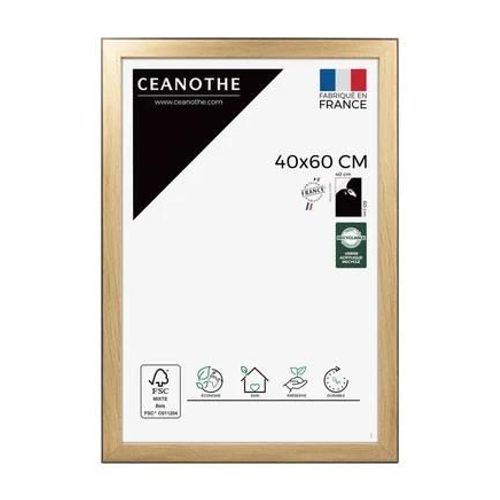 Ceanothe - Cadre photo Newton - Noir