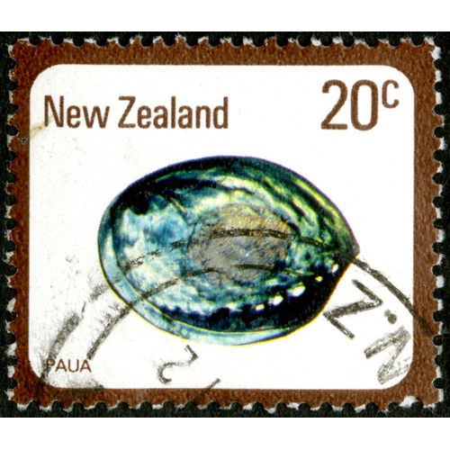 Timbre Oblitéré New Zealand, Paua, 20 C