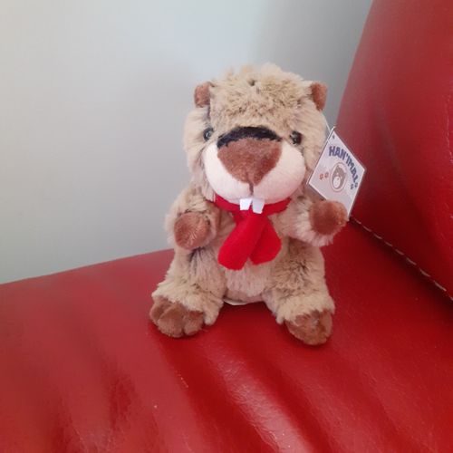 Peluche Bébé Marmotte *Encore Étiquetée