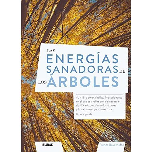 Las Energías Sanadoras De Los Árboles
