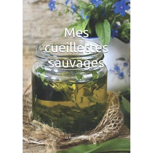 Mes Cueillettes Sauvages: Carnet À Compléter Pour Collecter Vos Plantes Et Aromatiques Sauvages, Format 18x26cm, 123 Pages.