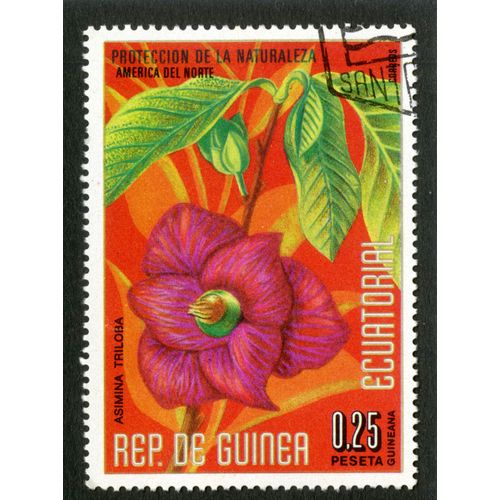 Timbre Oblitéré Rep. De Guinea Ecuatorial, Proteccion De La Naturaleza , America Del Norte, Asimina Triloba, 0.25 Peseta Guineana, Correos
