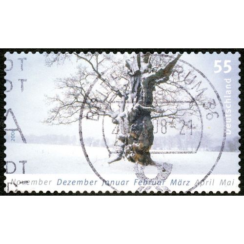 Timbre Oblitéré Deutschland, November, Dezember, Januar, Februar, März, April, Mai, 2006, 55