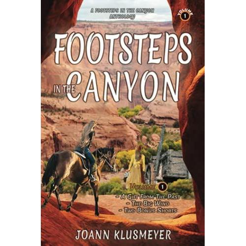 A Gift From The Past And The Big Wind: Footsteps In The Canyon Series For Young Teens