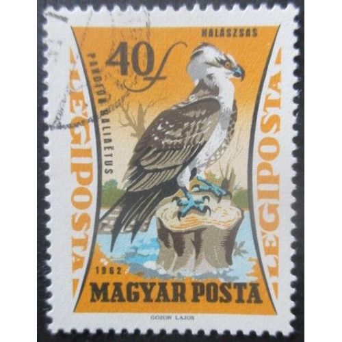 Hongrie Poste Aérienne N°251 Balbuzard Oblitéré