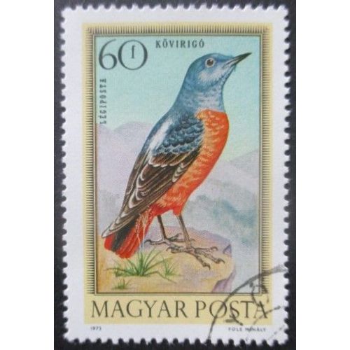 Hongrie Poste Aérienne N°361 Merle Oblitéré