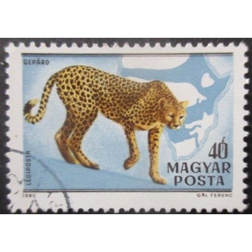 Hongrie Poste Aérienne N°436 Guépard Oblitéré