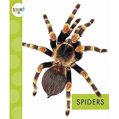 Spiders