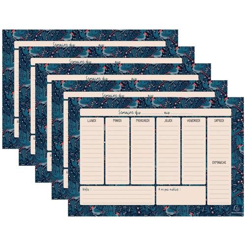 Exacompta Lot De 5 Blocs 60 Feuillets Hebdo Planner Color Design 26,5 X 18 Cm - Bleu