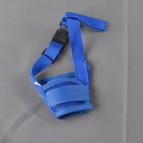Collier Avec Lanière En Nylon Pour Chiots,Accessoires Essentiels Pour Chiots,Chfukdog,Sfp,Aboiement,Animaux De Compagnie,Chiens - Type Blue-L