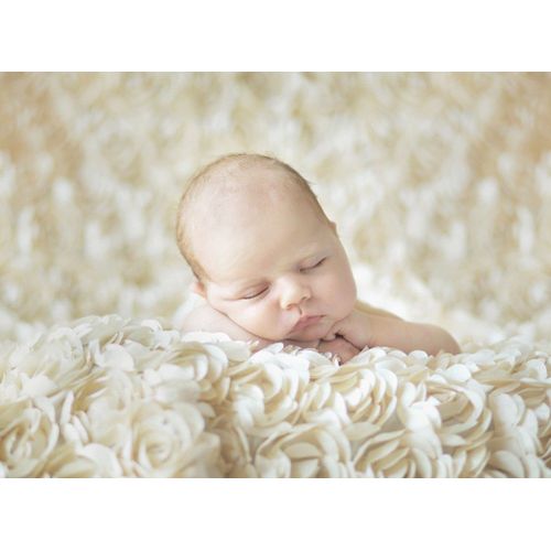 Konrad Bak: Baby Sleeping In The Roses - Puzzle 2000 Pièces