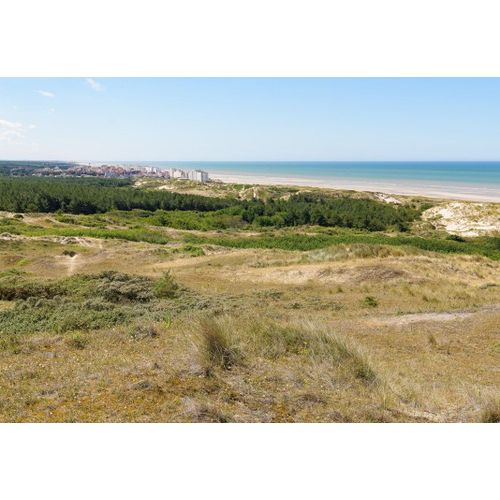 Dunes D'hardelot, Côte D'opale, France - Puzzle 1000 Pièces