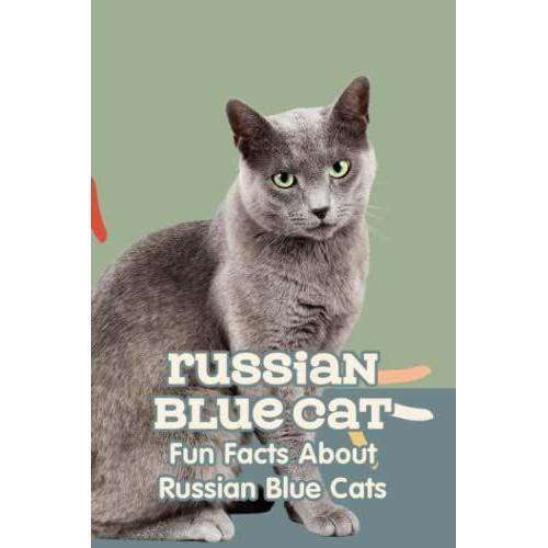 Russian Blue Cat: Fun Facts About Russian Blue Cats