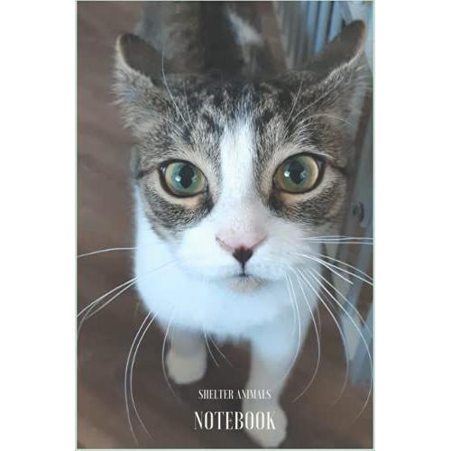 Shelter Animals Notebook: Aloe Was The Cutest Kitten. This 6'"X9" Journal Is Purrfect For Writing Things Down.