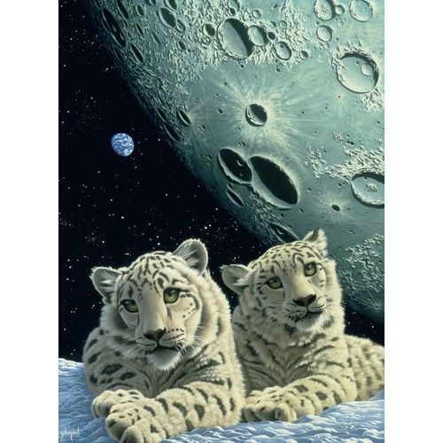 Schim Schimmel - Lair Of The Snow Leopard - Puzzle 2000 Pièces