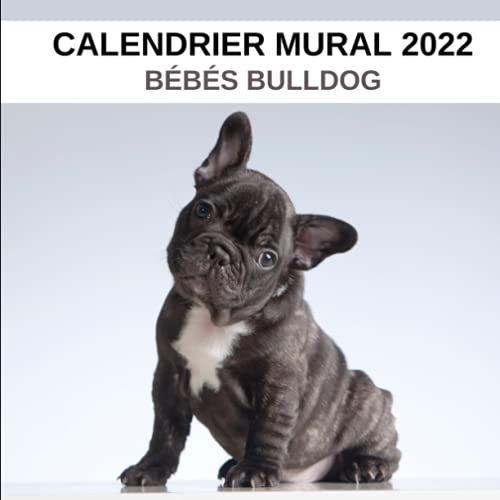 Calendrier Mural 2022 : Bébés Bulldog: Mensuel De Janvier À Décembre Avec 1 Page Par Mois, 1 Photo Et Espace De Notes. Idée De Cadeau Pour Noël.