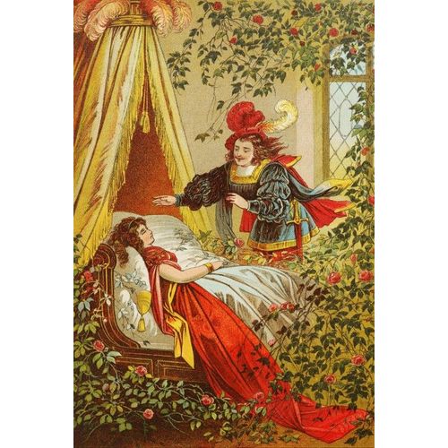 Carl Offterdinger : La Belle Au Bois Dormant - Puzzle 204 Pièces