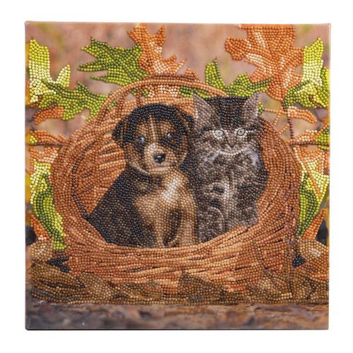 Crystal Art - Kit Broderie Diamant - Chat Et Chien