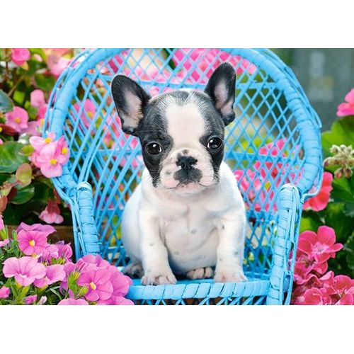 Chiot Bouledogue Français - Puzzle 100 Pièces
