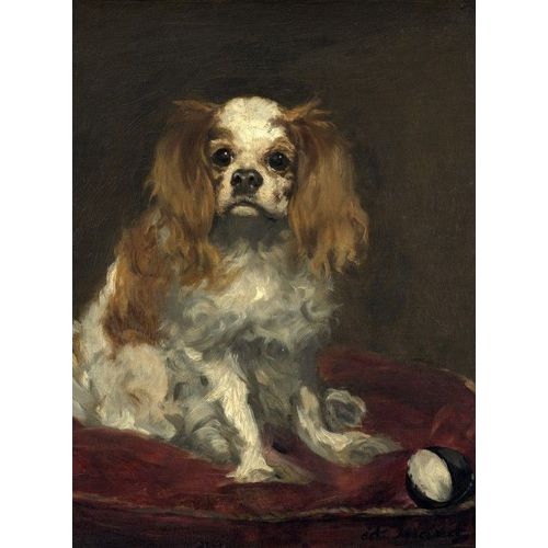 Edouard Manet : Un Cavalier King Charles Spaniel, 1866 - Puzzle 2000 Pièces