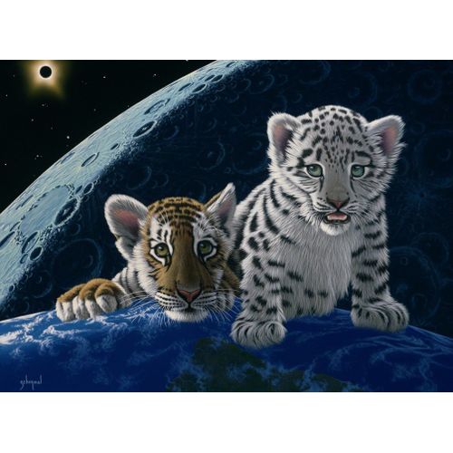 Schim Schimmel - Total Eclipse - Puzzle 2000 Pièces