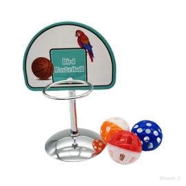 Jouets d'entraînement pour oiseaux Mini balles avec cloche Panier de basket  Perroquet Jouets Jouets éducatifs de basket-ball pour tourtereaux, Sanglier  8cmx14.7cm