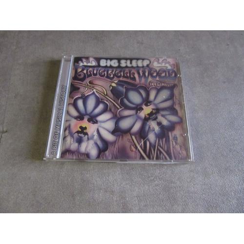 Cd Big Sleep Bluebell Wood A Bit Of Musical History ( Ref 7365538903340