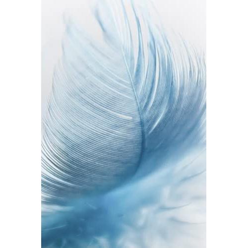 White Feather Notebook Journal: Feather Journal Notebook