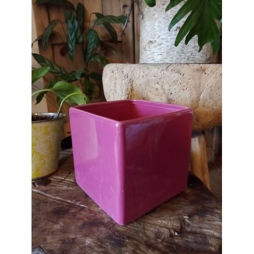 Vase / cache pot
