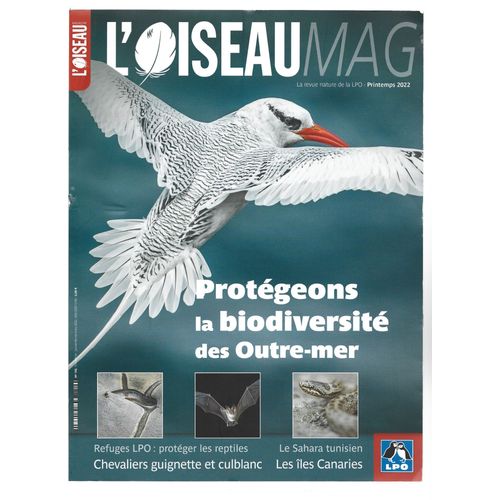 L'oiseau Mag # 146 ( Printemps 2022 ) : Protégeons La Biodiversité Des Outre-Mer - Refuges Lpo : Protéger Les Reptiles - Le Sahara Tunisien - Chevaliers Guignette Et Culblanc - Les Îles Canaries